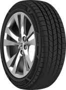 Bridgestone TURANZA EVERDRIVE tire