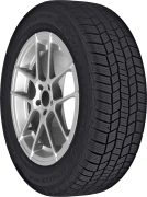 General Tire ALTIMAX 365 AW tire